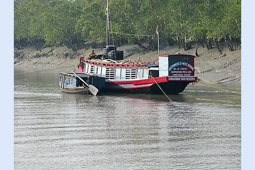 Viaggio in India 2008 - Sunderbans